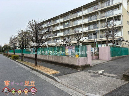 ���ӊ��@�C���ۈ牀 �B�e��(2025-03-04) 1290m