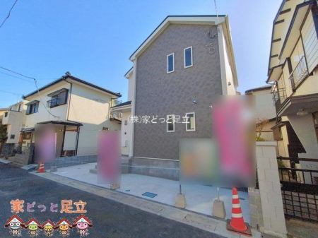 ���n�O�ώʐ^�@�B�e��(2026-02-19)