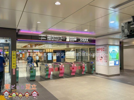 ���ӊ��@�����S���u�k��Z�v�w �B�e��(2024-05-30) 550m