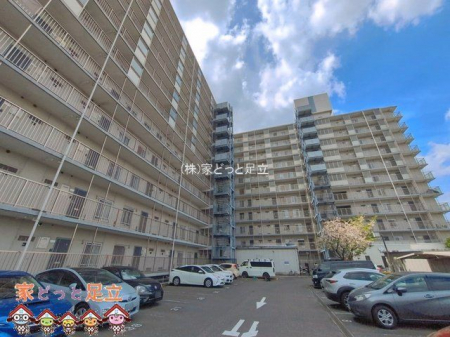 ���n�O�ώʐ^�@�B�e��(2026-04-06)
