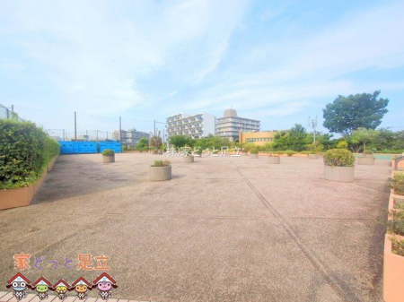 ���n�O�ώʐ^�@�B�e��(2025-08-27 00:00:00)