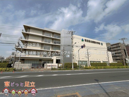 ���ӊ��@�����旧�������w�Z �B�e��(2025-04-08) 1100m
