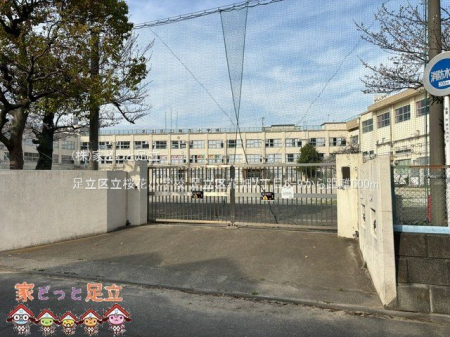 ���ӊ��@�����旧���ԏ��w�Z �B�e��(2025-03-28) 600m