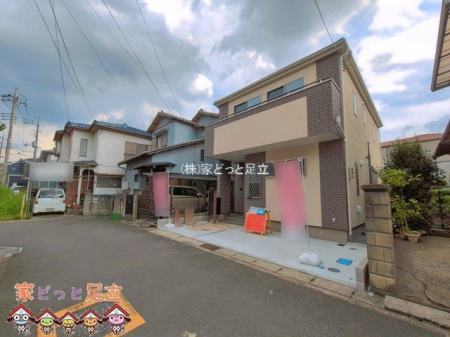 ���n�O�ώʐ^�@�B�e��(2026-06-19)