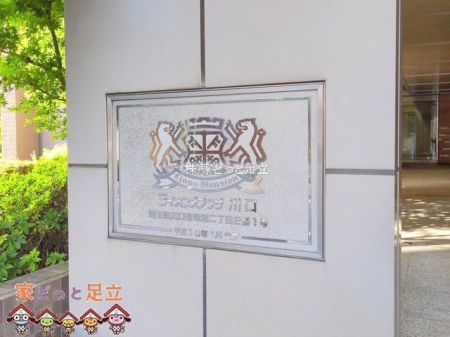 ���n�O�ώʐ^�@�B�e��(2025-11-20 00:00:00)