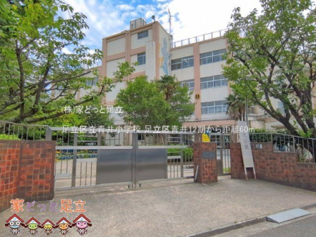 ���ӊ��@�����旧�䏬�w�Z �B�e��(2026-06-11) 60m