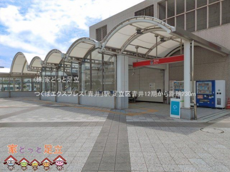 ���ӊ��@���΃G�N�X�v���X�u��v�w �B�e��(2026-06-11) 230m