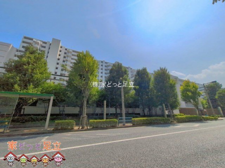 ���n�O�ώʐ^�@�B�e��(2026-07-22 00:00:00)