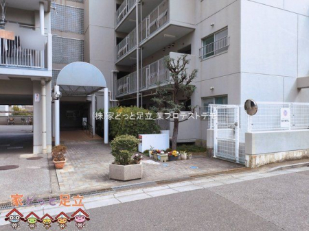 �G���g�����X�@�B�e��(2026-03-19)