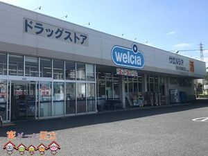 ���ӊ��@�E�G���V�A�������܌��R�X �k��13���B 1010m