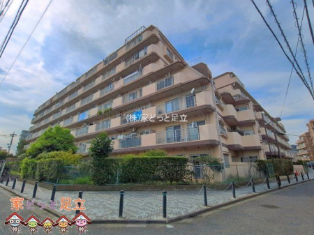 ���n�O�ώʐ^�@�B�e��(2026-08-20)