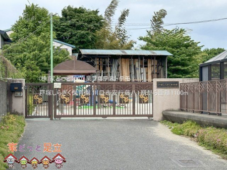 ���ӊ��@�˒˂��炬���ۈ牀 �B�e��(2024-05-06) 1100m