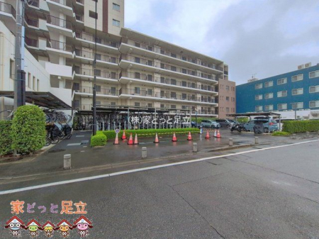 ���n�O�ώʐ^�@�B�e��(2026-09-16 00:00:00)
