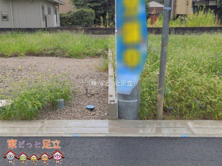 ���n�O�ώʐ^�@�B�e��(2026-09-15 00:00:00)