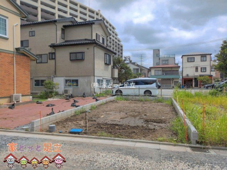 ���n�O�ώʐ^�@�B�e��(2026-09-01 00:00:00)