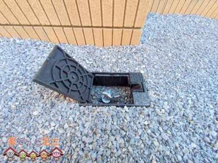 現地外観写真　撮影日(2025-04-29 00:00:00)