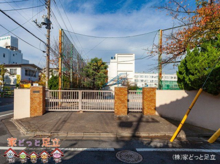 ӊ@旧]wZ Be(2020-11-26) 800m