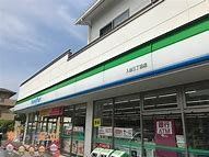 ӊ@t@~[}[gX k9B 700m