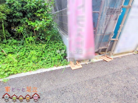 nOώʐ^@Be(2025-06-12 00:00:00)