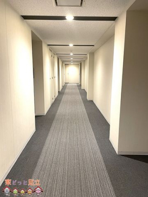 ̑@L