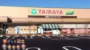 ӊ@TAIRAYAX k9B 650m