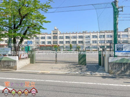 ӊ@旧V񏬊wZ Be(2023-05-04) 510m