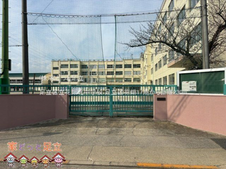 ӊ@旧ԔkwZ Be(2025-03-28) 230m