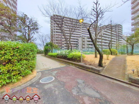 nOώʐ^@Be(2025-03-06 00:00:00)