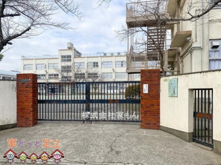 ӊ@旧{鏬wZ k7B 550m