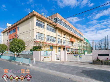 ӊ@swZ Be(2021-02-25) 800m