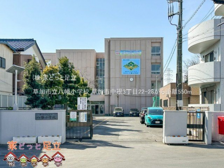 ӊ@swZ Be(2023-02-09) 550m