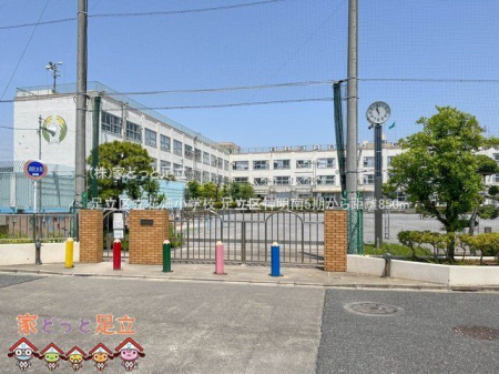 ӊ@旧ԔwZ Be(2023-05-18) 850m