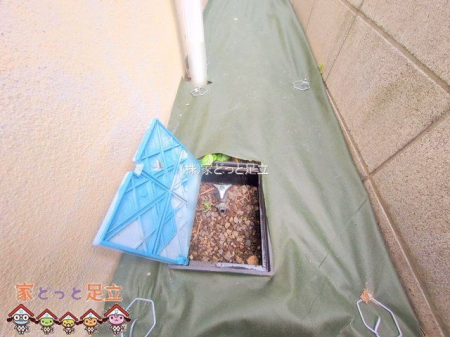 nOώʐ^@Be(2025-09-09 00:00:00)