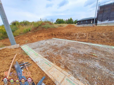 nOώʐ^@Be(2025-10-24 00:00:00)