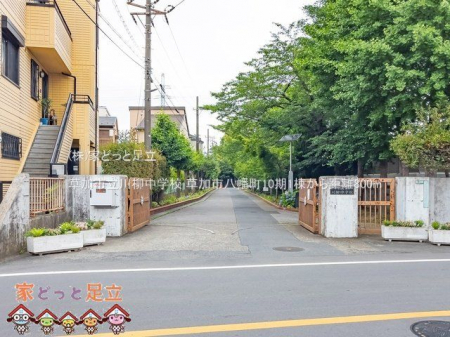 ӊ@swZ Be(2022-06-14) 800m