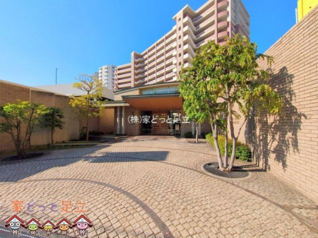 GgX@Be(2025-04-29 00:00:00)