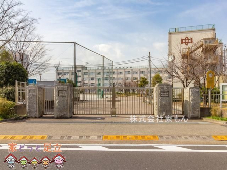 ӊ@旧\lwZ k13B 970m