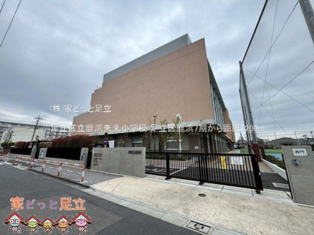 ӊ@旧lwZ Be(2025-03-31) 1200m