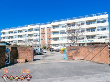 ӊ@s_wZ Be(2021-02-16) 250m