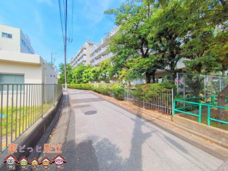 nOώʐ^@Be(2025-07-28 00:00:00)