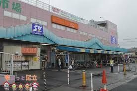 ӊ@X[p[o[X k12B 950m