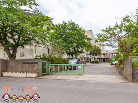 ӊ@zJshwZ Be(2021-06-02) 800m