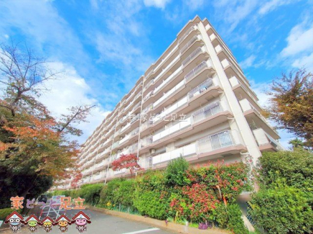 nOώʐ^@Be(2024-11-18 00:00:00)