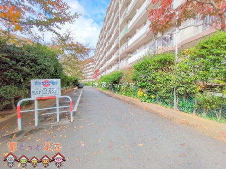 nOώʐ^@Be(2024-11-18 00:00:00)