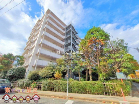 nOώʐ^@Be(2024-11-18 00:00:00)