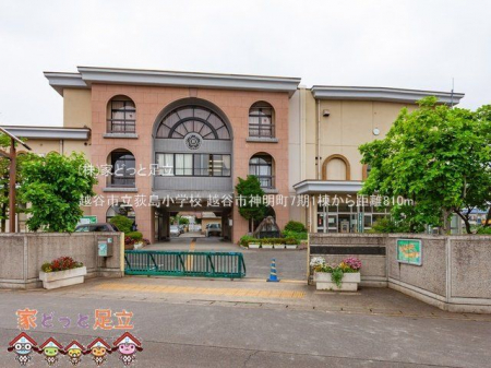 ӊ@zJswZ Be(2021-05-20) 810m