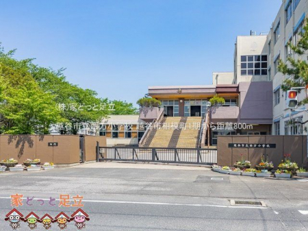 ӊ@zJswZ Be(2022-04-25) 800m