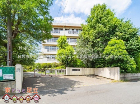 ӊ@zJshiwZ Be(2022-08-01) 910m