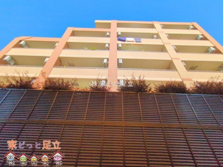 nOώʐ^@Be(2025-11-20 00:00:00)