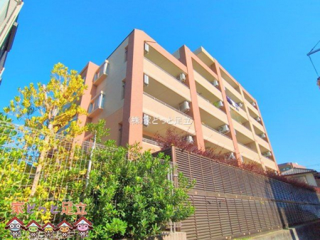 nOώʐ^@Be(2025-11-20 00:00:00)